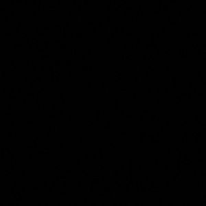 Meet your Posher, Johnae